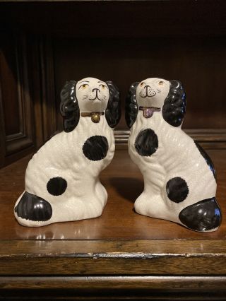 Vintage Staffordshire Spaniel Dog Figurines.  H 6.  5 " Made England.