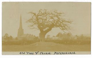 Herefordshire Peterchurch Old Tree & Church Real Photo Vintage Postcard 9.  11