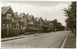 Seaview - Isle Of Wight - Bluett Avenue - Old Real Photo Postcard View