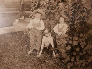 Antique Framed Photograph of Two Little Boys in Yard with Their Dog ca 1930 2