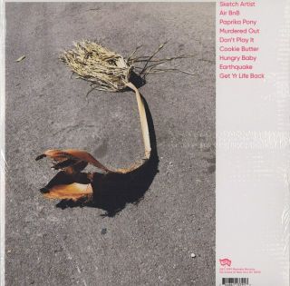 Kim Gordon,  No Home Record,  Vinyl,  LP,  Matador Records,  2020,  Sonic Youth 2