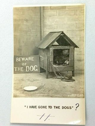 Vintage Postcard Beware Of The Dog " I Have Gone To The Dogs " Rppc Posted 1906