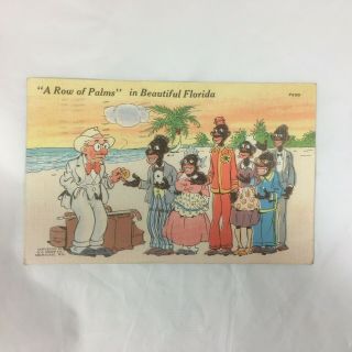 Black Americana Postcard Vtg A Row Of Palms Florida E.  C.  Kropp 1943 Linen