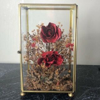 Vintage Dried Flowers In Brass Curio Case Rare