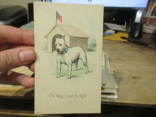 Other Old Postcard Animals American Bulldog Dog Puppy House Fighter Pup Collar