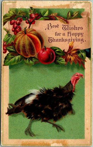 Vintage 1910s Thanksgiving Postcard Turkey W/ Real Feathers " Best Wishes "