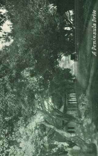 Vintage Postcard - A Peninsula Drive,  Hotel In A Garden,  San Mateo,  Ca