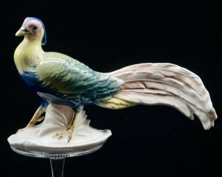 Antique Karl Ens Germany Porcelain Peacock Pheasant Figurine