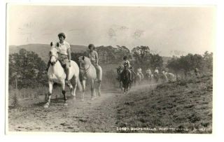 Builth Wells Pony Trekking Horses Riding Powys Wales Old Photo Postcard 1965