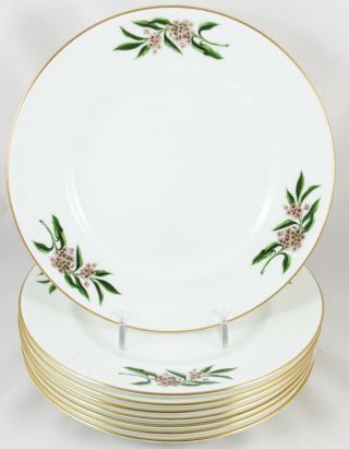 Excel Vintage Set 8 Salad Plates Coalport Bone China England Flowers Gold White
