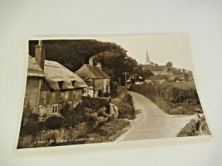 Old Postcard A Pretty View Of South Harting,  Sussex - Hamiltons - Real Photo