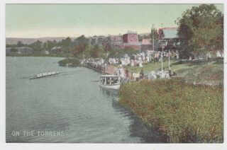 On The Torrens Adelaide South Australia Old Postcard C1905