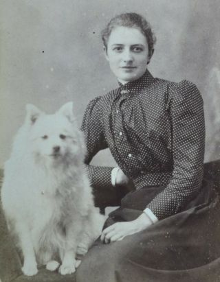 Charming 1870/80s Cdv Photo Attractive Young Lady White Dog Whittaker Penrith