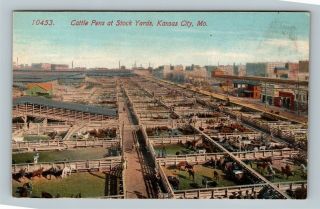 Kansas City Mo,  Cattle Pens At Stock Yards Vintage Missouri C1910 Postcard