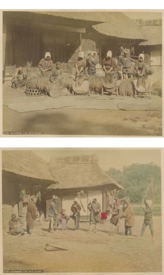 Two (2) Japanese Albumen Photographs Of Rice Farming Agriculture C.  1870s Japan
