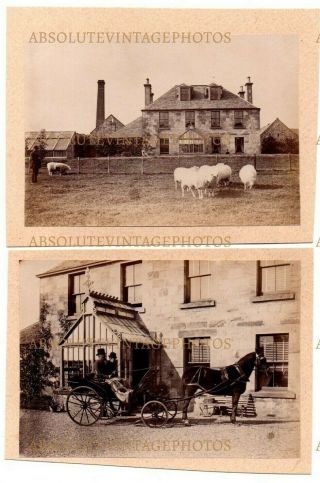 Albumen Photos Unidentified Country Farm House With Sheep & Horse & Coach 1870s