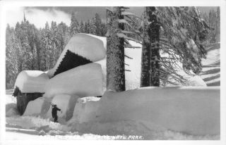 Rppc Badger Pass Yosemite National Park,  Ca Winter C1950s Vintage Photo Postcard