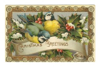 Old Vintage Antique German Gel Postcard Merry Christmas Greeting Card Song Birds
