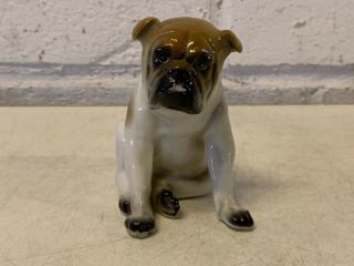 Vintage Likely Sitzendorf Porcelain Bulldog Figurine 26255