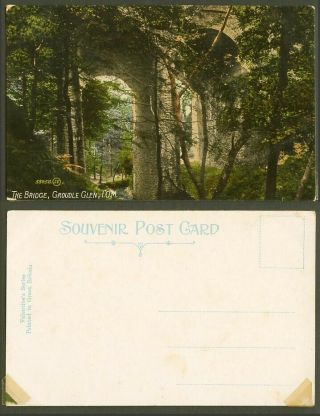 Isle Of Man Old Colour Postcard The Bridge Groudle Glen I.  O.  M Woods Trees Forest