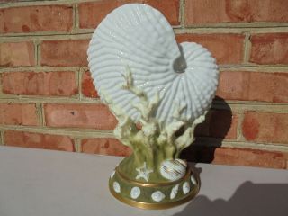 Antique Royal Worcester Style Porcelain Nautilus Shell Vase 9 "