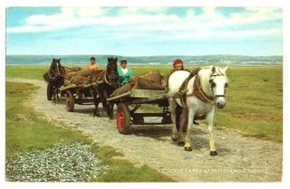 Penclawdd Gower Cockle Pickers Horse Cart Swansea Welsh Wales Old Postcard 1962