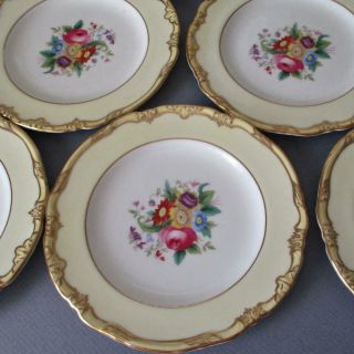 Set 10 Antique HP Porcelain Plates FLOWERS Creamy Yellow CRESCENT George Jones 3
