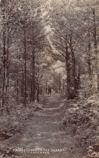 A Walk Through The Woods,  Castleton,  N.  Yorks,  Old Pc,  Midland Tpo Postmark 1910