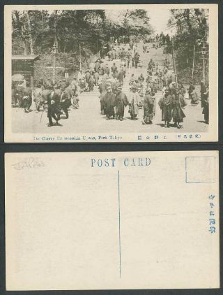 Japan Old Postcard The Cherry Blossoms In Ueno Uyeno Park Tokyo,  Steps 東京 上野公園櫻花