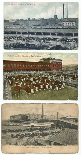 East St.  Louis,  Il Illinois,  Three Old Cattle Stock Yards Postcards
