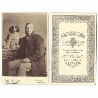 Cabinet Card Photograph Gentleman With Spaniel Dog By Worrall Of Newtown