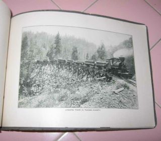 1905 Historical Photo Booklet Red Bluff California Tehama County Train Sheep