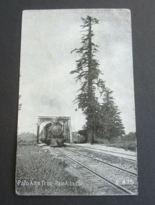 Old Vintage 1921 - Palo Alto Ca.  - Postcard - Tree - Railroad Bridge / Train