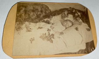 Rare Antique Victorian American Post Mortem Dead Child Bed Of Flowers Cdv Photo