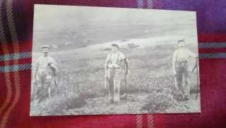 The Welsh Reapers.  Lovely Old Picture Postcard.  Wales.  Merionethshire