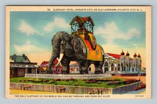 Atlantic City Nj,  Lucy The Elephant Hotel Attraction Vintage Jersey Postcard