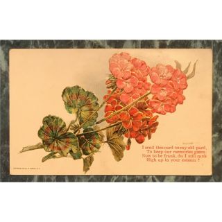 Antique C1910 Embossed Postcard: Greetings.  I Send This Card To My Old Pard.