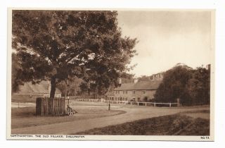 The Old Village,  Dallington,  Northampton Vintage Postcard 385b