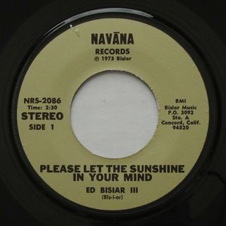 Private Bay Area Folk Psych Ed Bisiar Iii Please Let The Sunshine In 45 Hear
