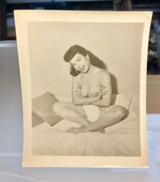 (6) Vintage 1950s Bettie Page Pin Up Photos Stuffed Dog - Rarely Seen