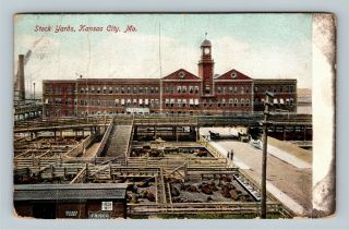 Kansas City Mo,  Cattle Pens At Stock Yards Vintage Missouri C1907 Postcard