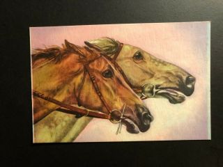 Old Vintage " The Horses.  " Postcard Made In Usa