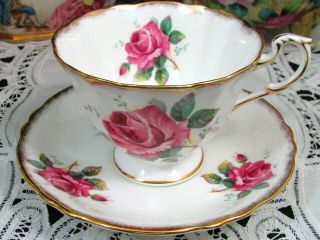 Paragon Pink Cabbage Roses Sponged Gold Gilt White Tea Cup And Saucer