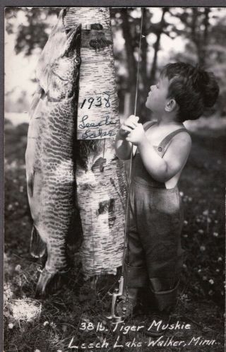 Vintage Rppc 1938 Small Boy Tiger Muskie Walker Minnesota Fishing Photo Postcard