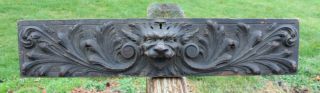 Antique Reclaimed Lion Head Wood Carved Drawer Front - Architectural Salvage