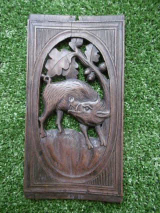 19thc Black Forest Oak Carved Panel With Wild Boar Leaf & Acorns C.  1870
