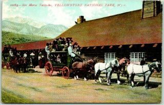 Vintage 1910s Yellowstone National Park Postcard " 6 - Horse Tally - Ho " Stage Coach