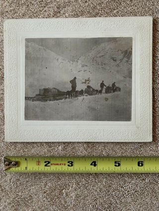 1898 Alaska Klondike Gold Rush Dog Sleds & Miners On Chilkoot Pass Trail Photo