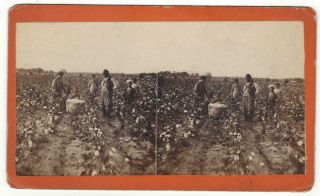 Black Americana Sv - Family Picking Cotton Occupational Launey & Goebel Ga 1880s