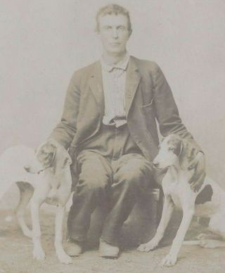 1890s Cabinet Card Photo Man With 2 Pointers? Hounds? Type Family Pet Dogs